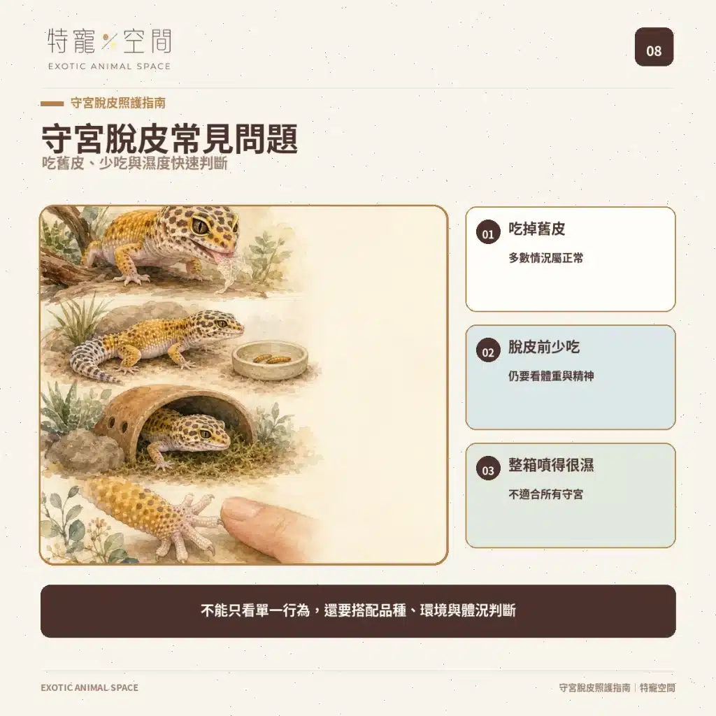 08 GECKO SHEDDING FAQ