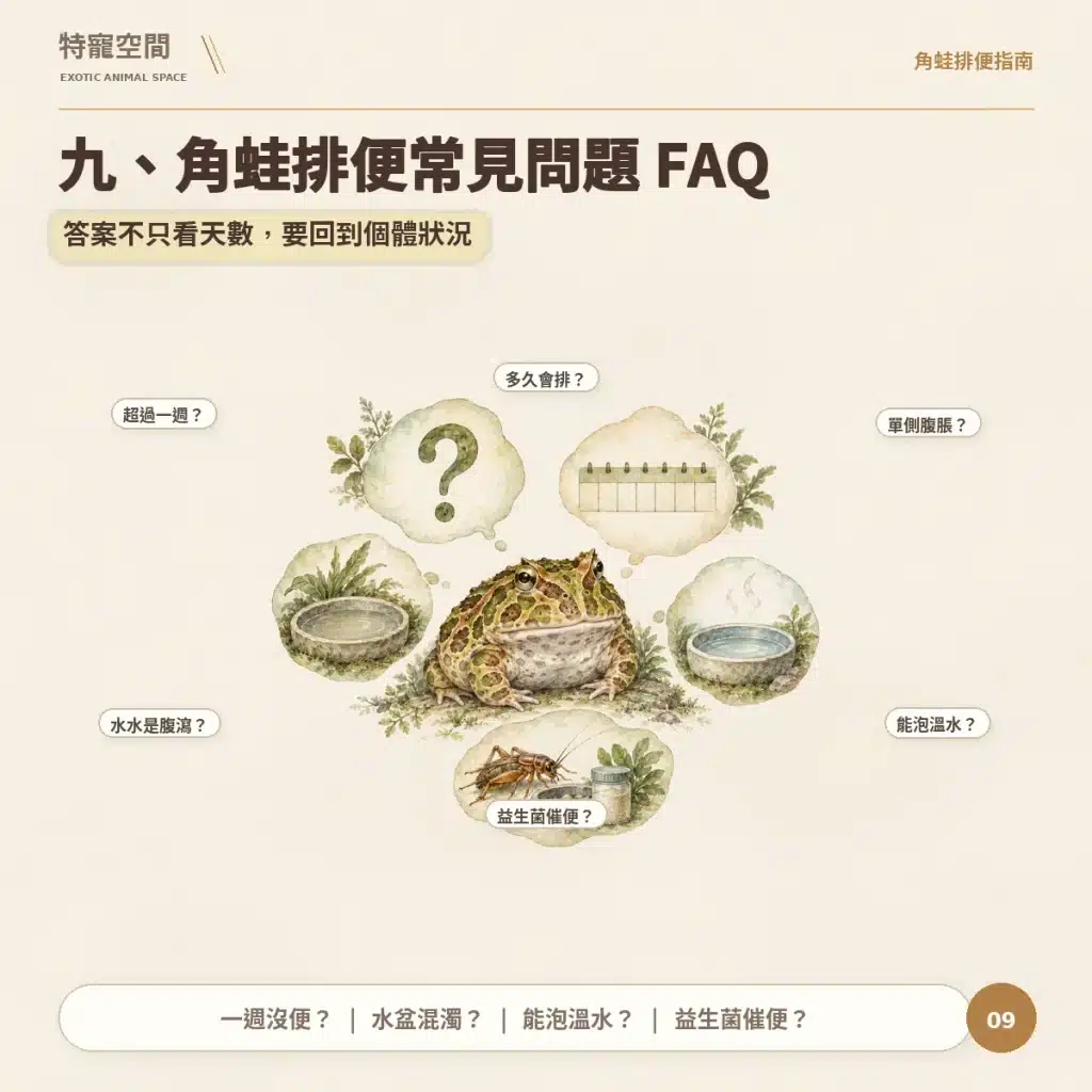 09 角蛙排便常見問題