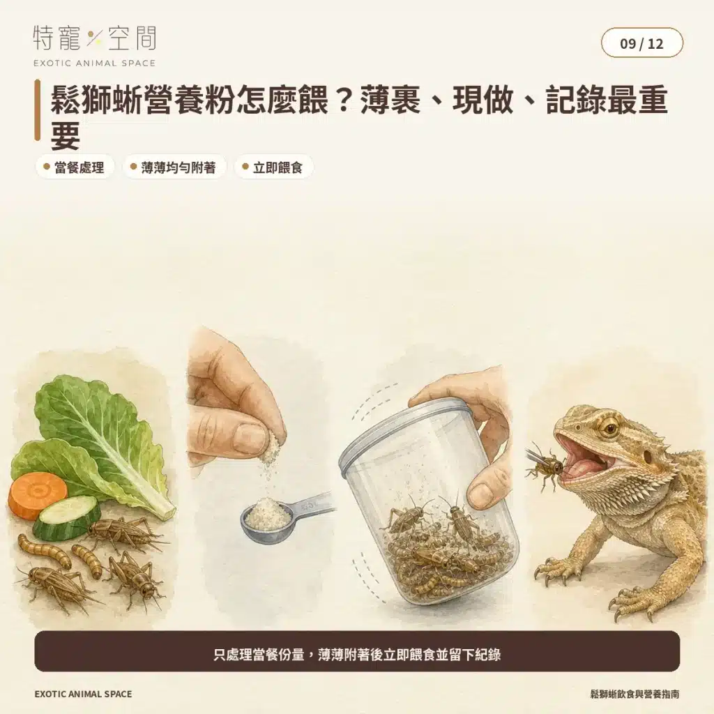 09 BEARDED DRAGON SUPPLEMENT DUSTING