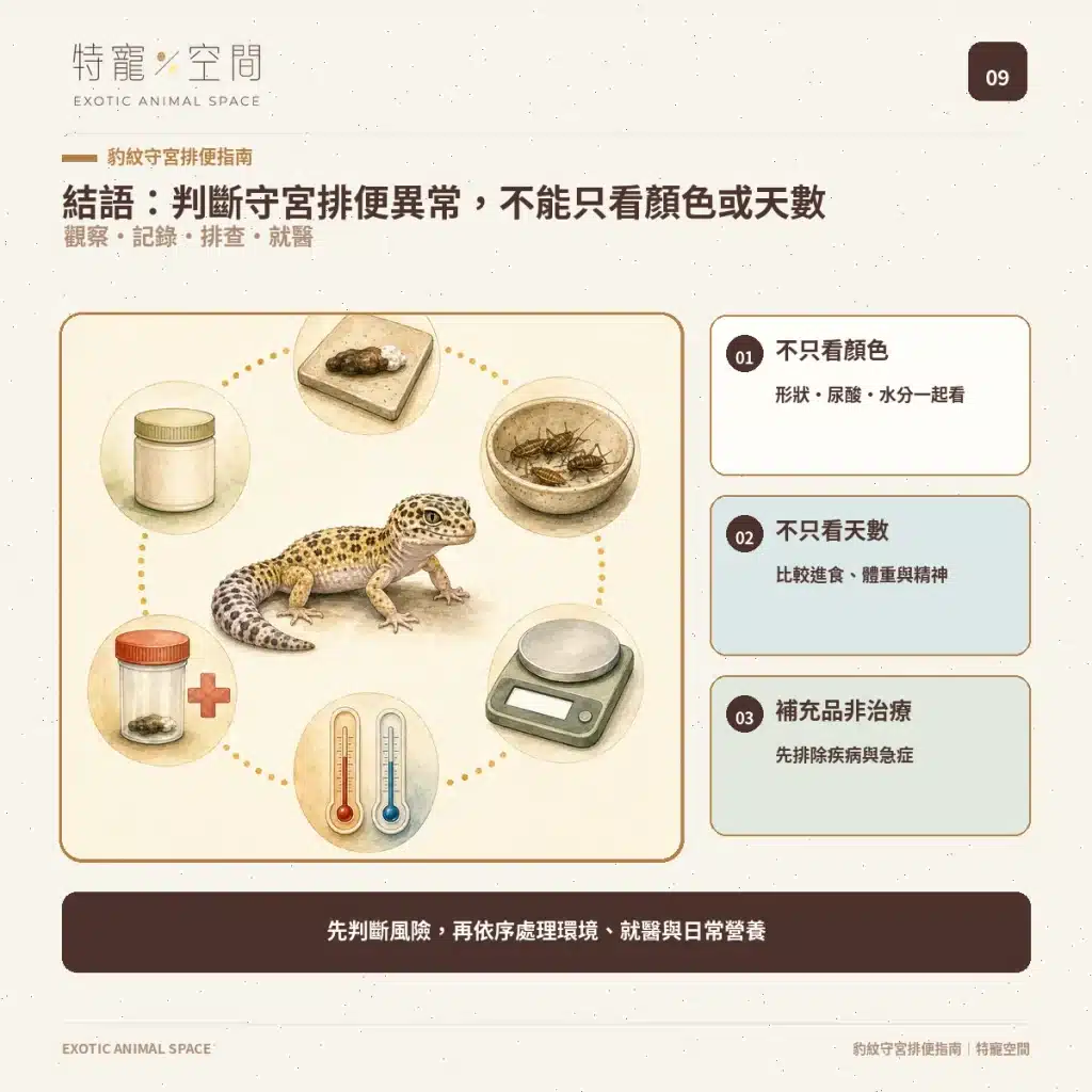 守宮大便正常嗎?豹紋守宮軟便、拉肚子、不排便與就醫警訊 09 LEOPARD GECKO POOP SUMMARY