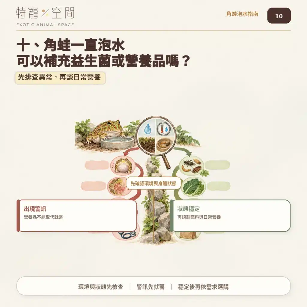 角蛙一直泡水是生病了嗎?飼主必看的7大異常警訊與環境急救指南 10 角蛙泡水與營養品