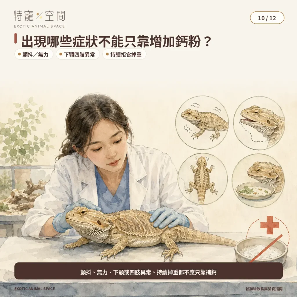10 BEARDED DRAGON VET WARNING SIGNS