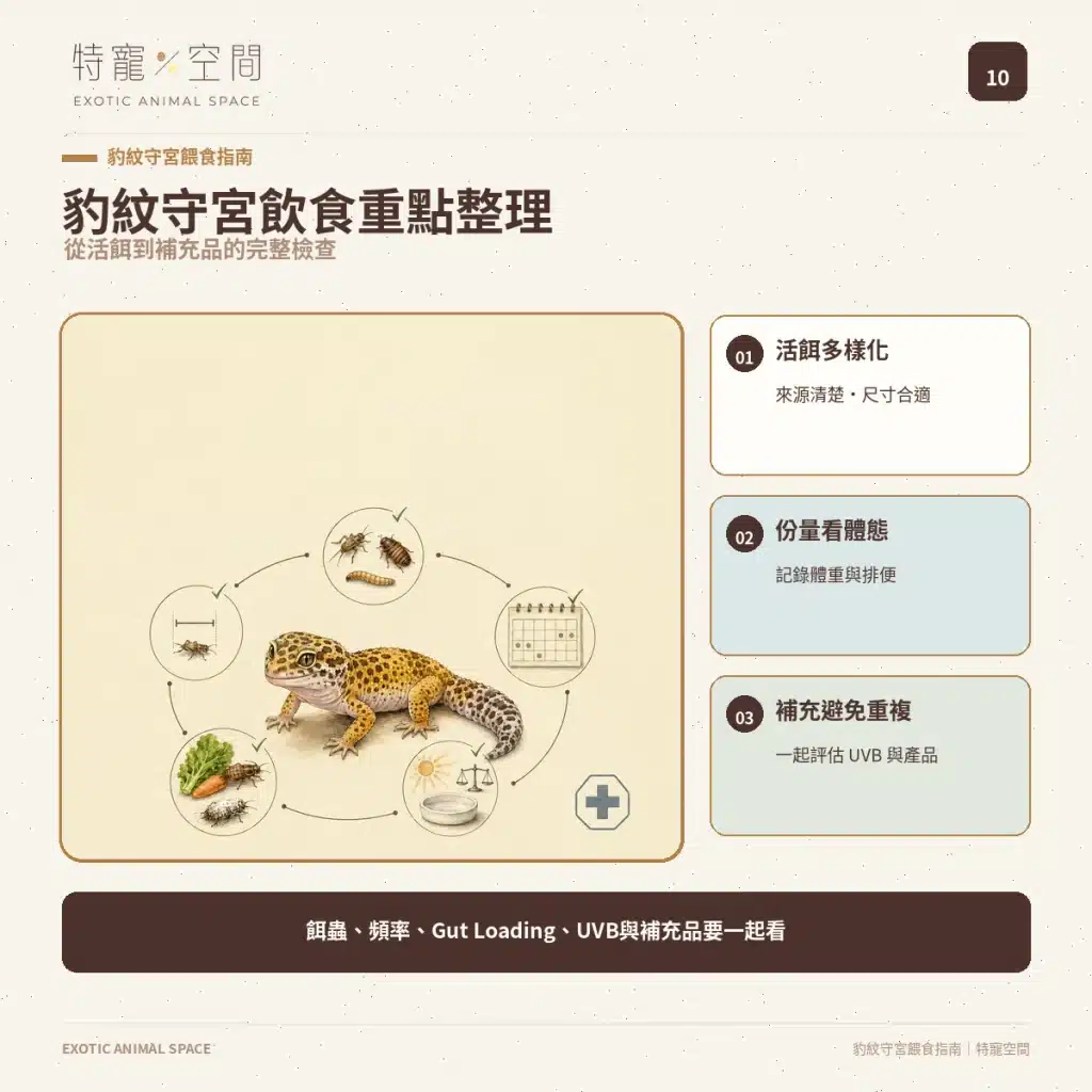 10 LEOPARD GECKO DIET SUMMARY