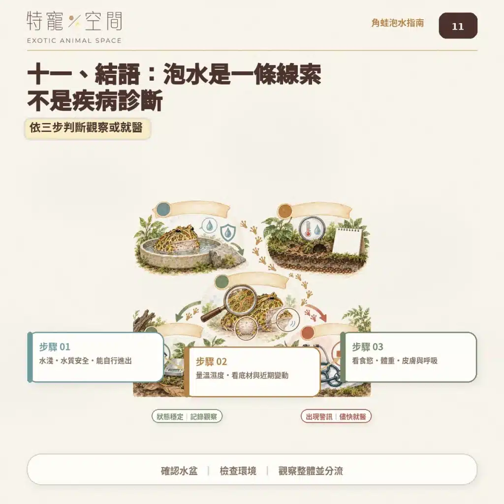 角蛙一直泡水是生病了嗎?飼主必看的7大異常警訊與環境急救指南 11 角蛙泡水三步判斷