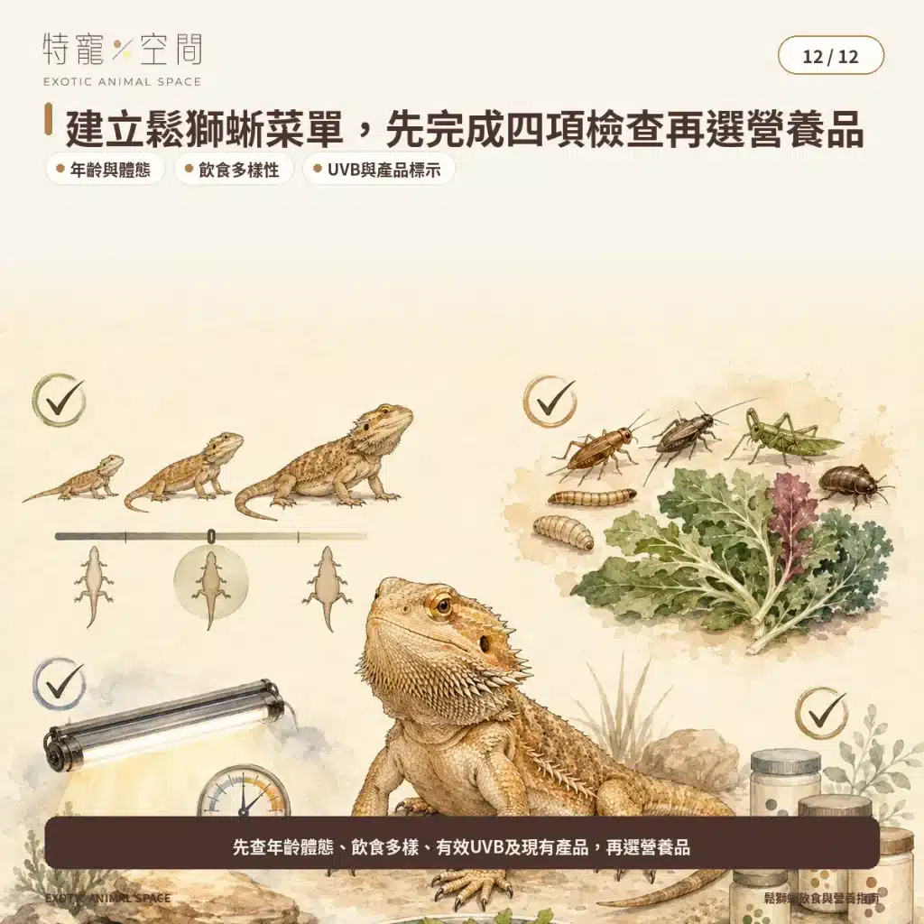 12 BEARDED DRAGON MENU CHECKLIST